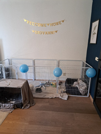 28-9-25 Met smart werd er op Gio gewacht.